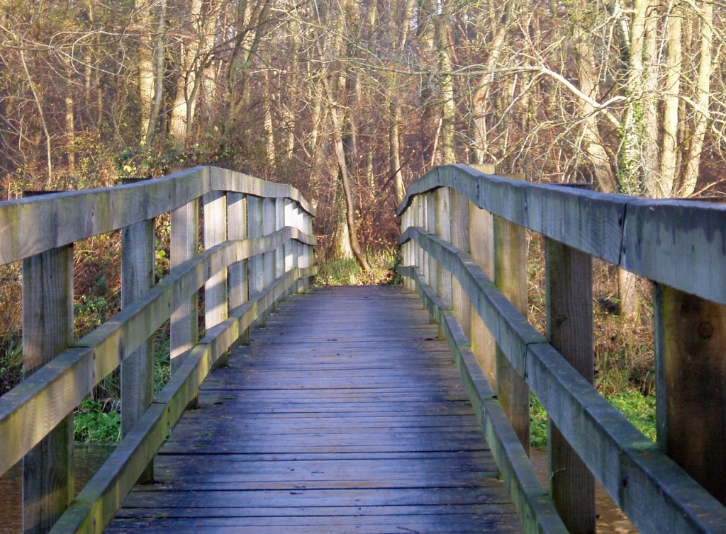 There was a pedestrian bridge that went over the creek flood.