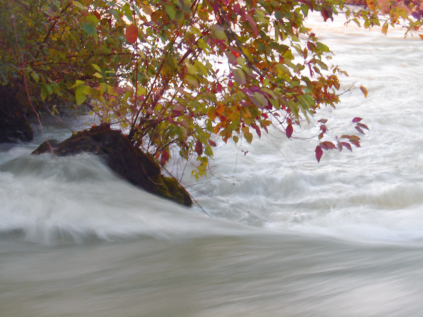 I was able to catch a tree limb above the flood water and pull myself out.