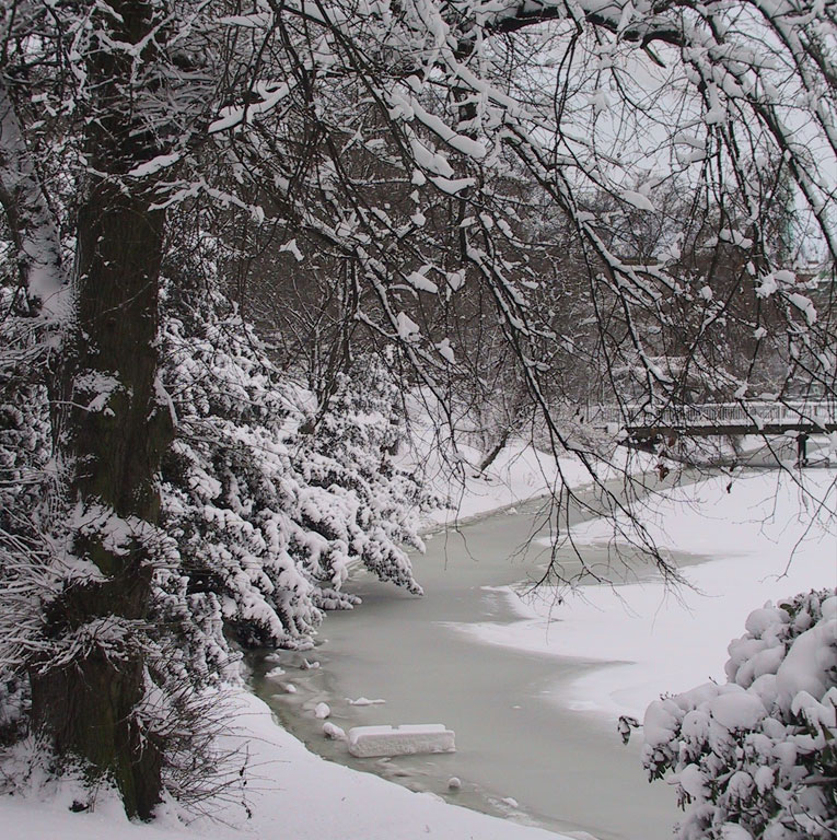 We played on the frozen creek ice until we broke through.